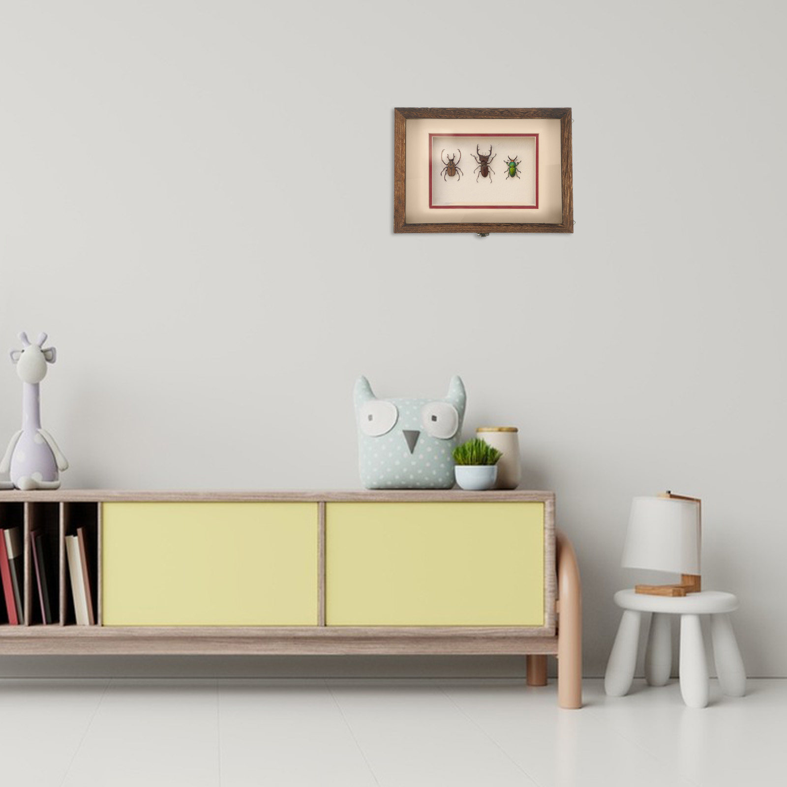 Wood Insect Display Case Clear - Frame Display Wood recension och pris
