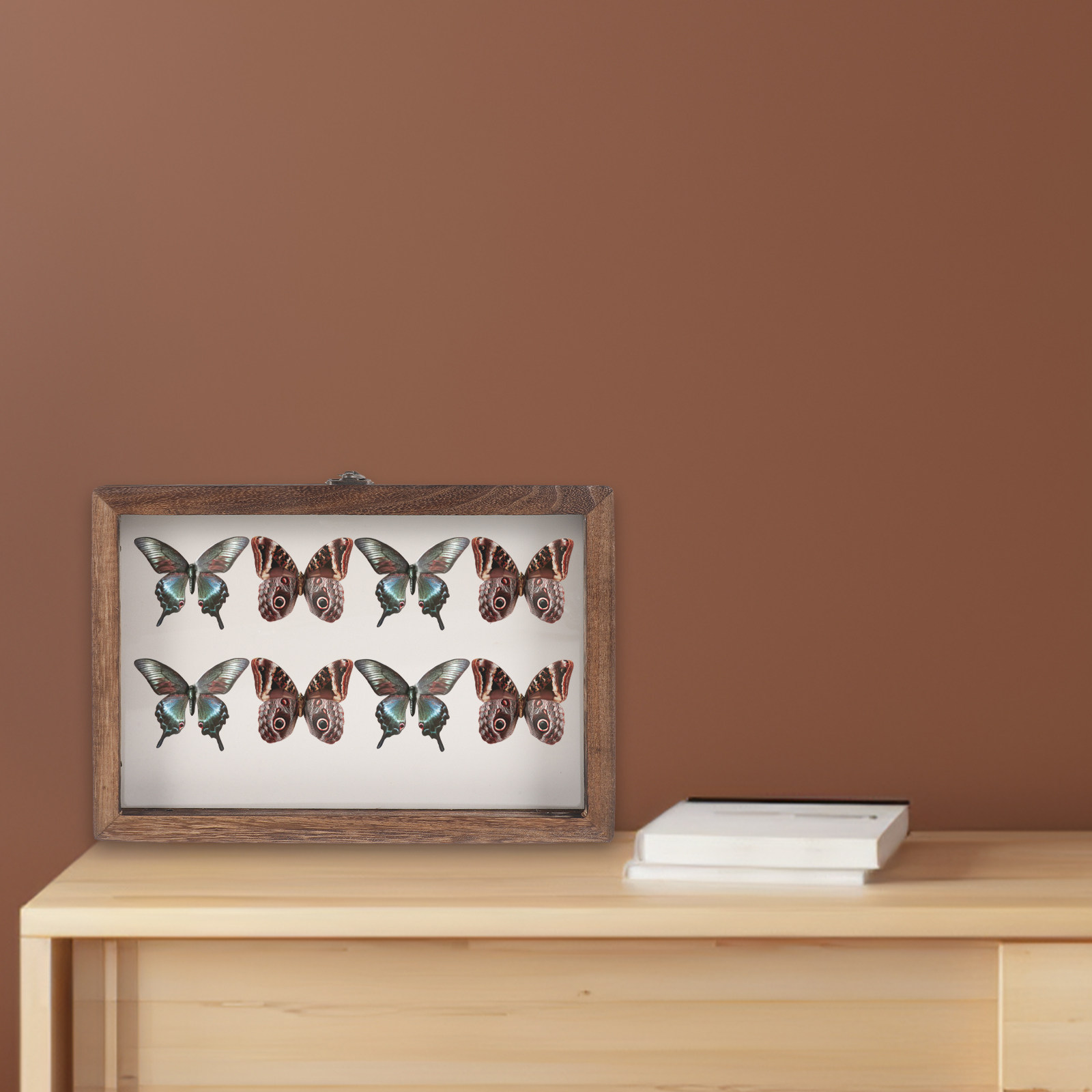 Wood Insect Display Case Clear - Frame Display Wood recension och pris