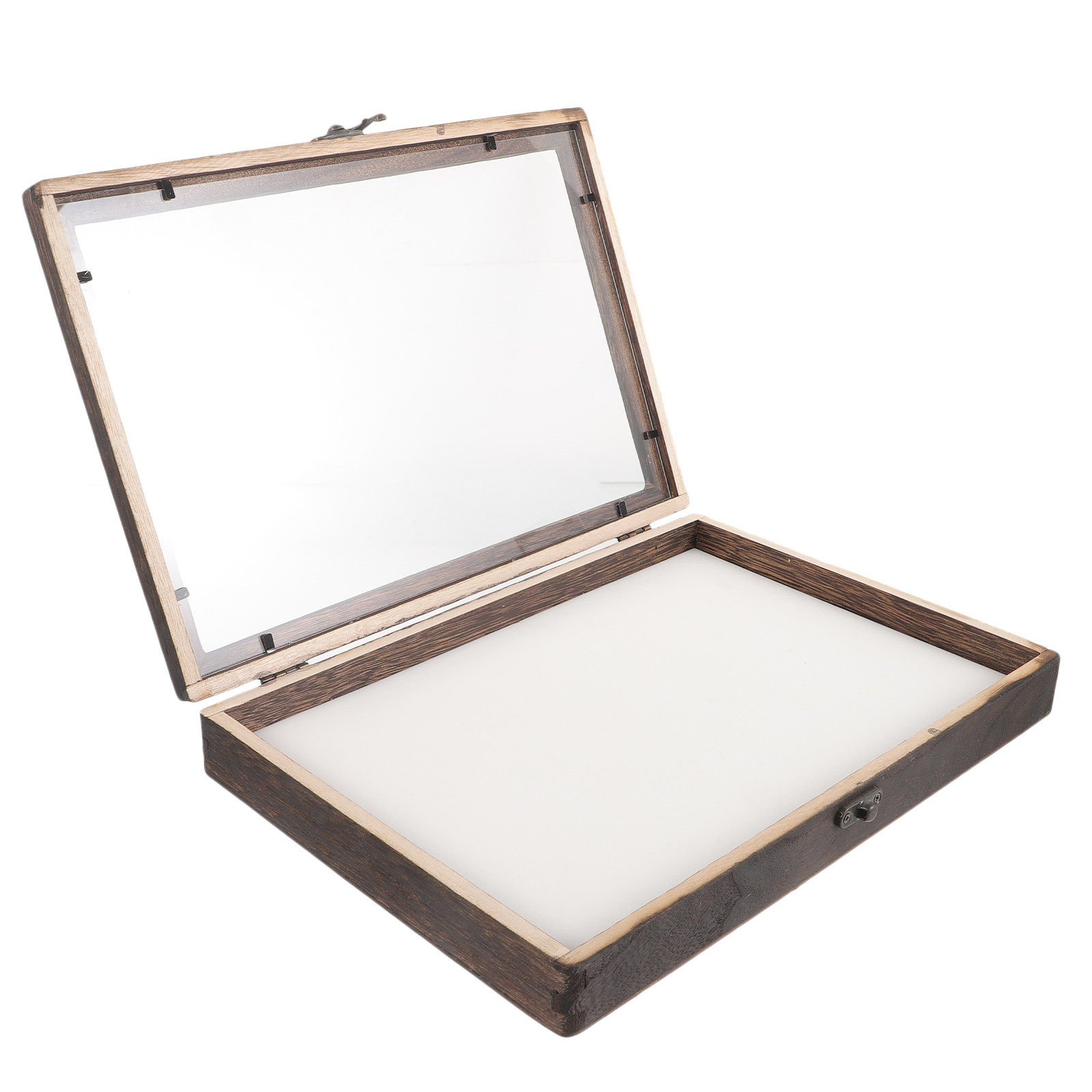 Wood Insect Display Case Clear - Frame Display Wood recension och pris