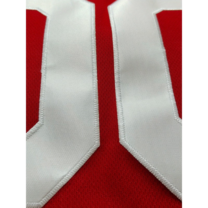 Customized Name and Number Bas - Embroidery Jersey recension och pris